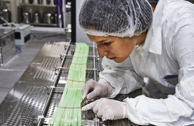 Color photo of a person working in a laboratory