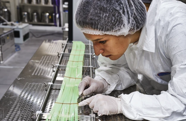 Color photo of a person working in a laboratory